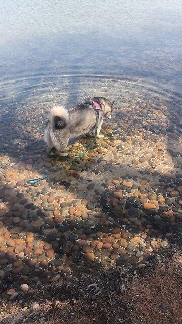 Thursday April 17, My time has come, I will eat the Passover meal with my disciples at your house