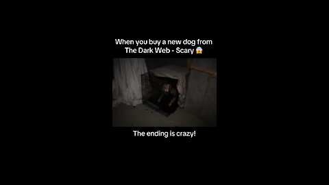 Dog bought from the Dark Web…talks 😱