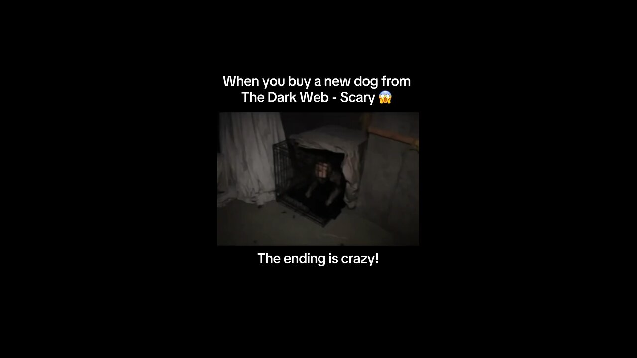 Dog Bought from the Dark Web… and It Talks?! 😱 Unbelievable!