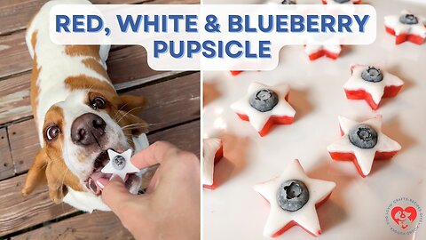 Red, White & Blueberry Pupsicles – Frozen Dog Treats for Summer! 🇺🇸