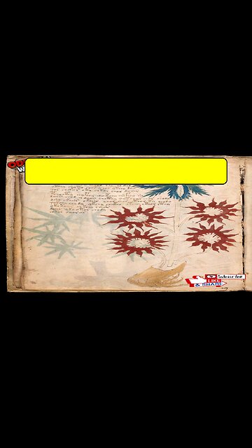 Secret Code Cracked! Lost Truth Revealed