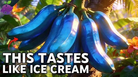 20 Bananas So STRANGE They Don’t Seem Real (Some Are Almost Extinct)