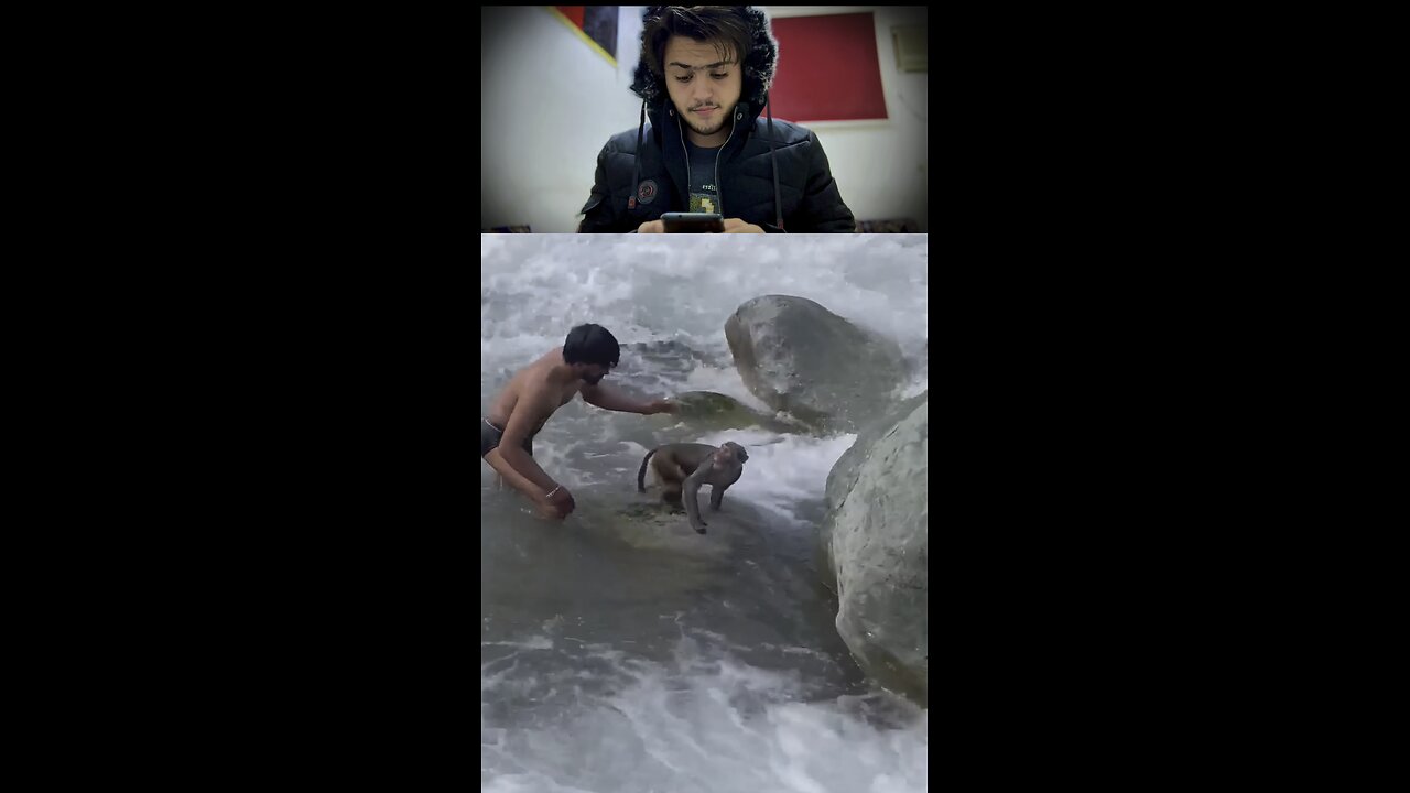 Two men jump into rushing water to save stranded 🐒
