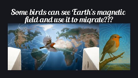 Fun Fact for July 5th 2025 Pt 2