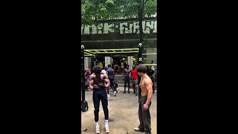 vlog 2