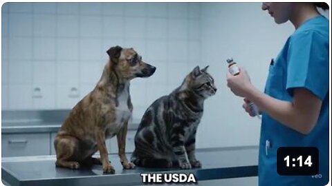Pets Are Being Injected With Nano-Tech Poison Vaccines Turning them into Poison Factories Spreading Diseases