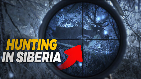 Hunting moose and reindeer in Siberia | theHunter: Call of the Wild