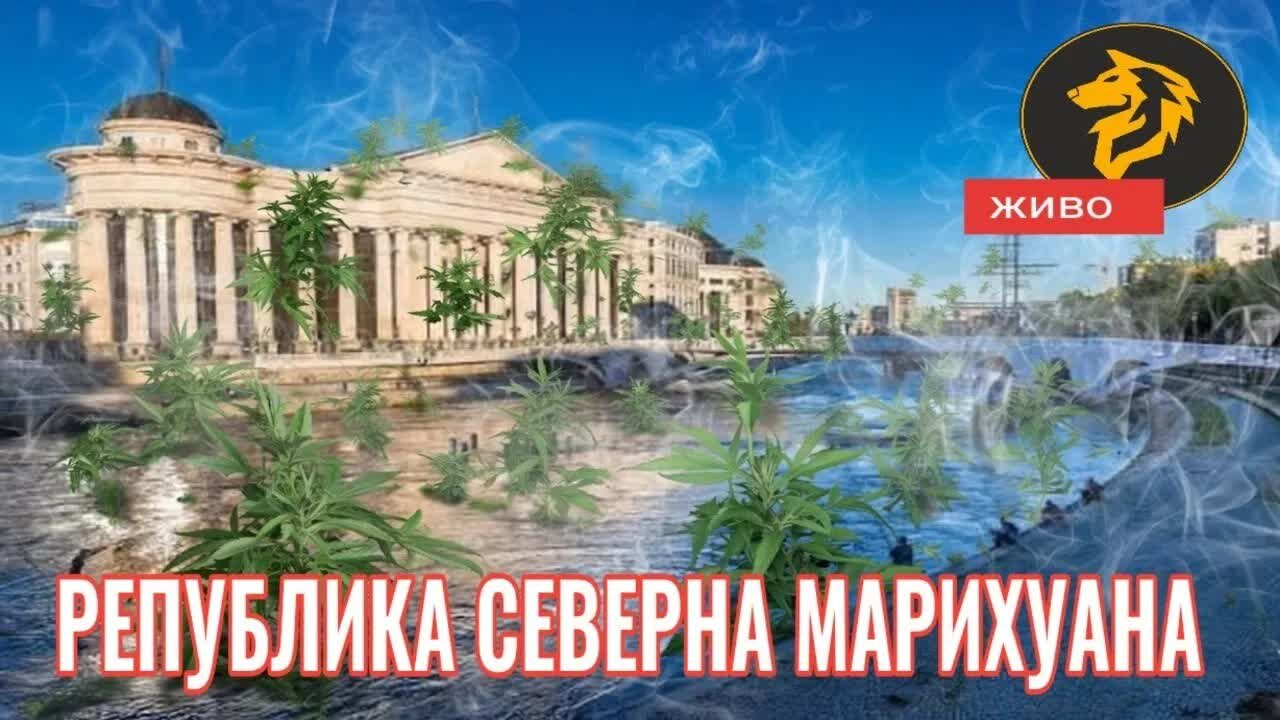 РЕПУБЛИКА СЕВЕРНА МАРИХУАНА