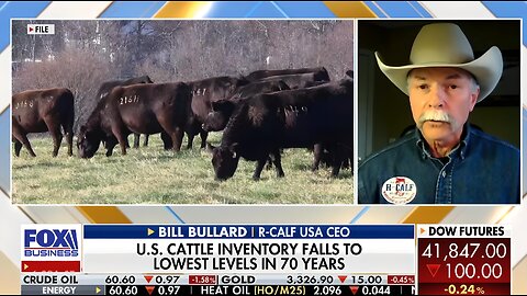 Trump hasn't focused on cattle industry amid fairer trade efforts, R-Calf USA CEO says