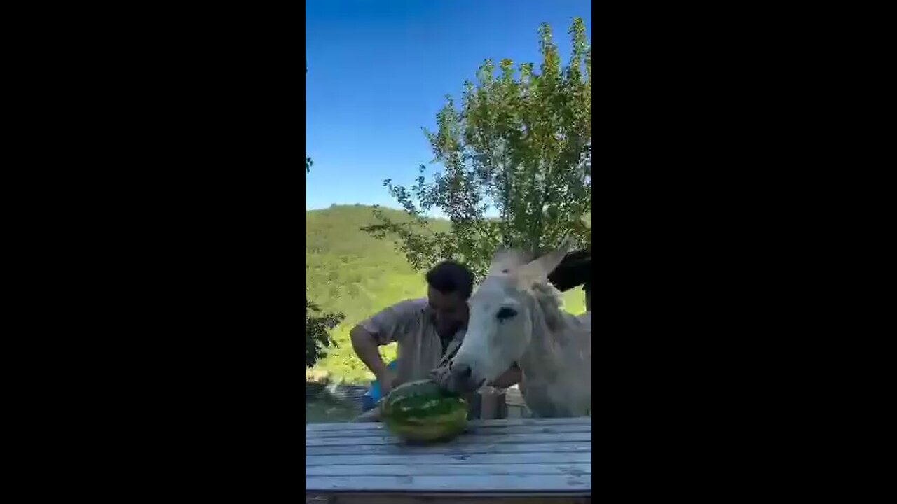 😁😄دوتایی باهم رفتن سیزده بدر