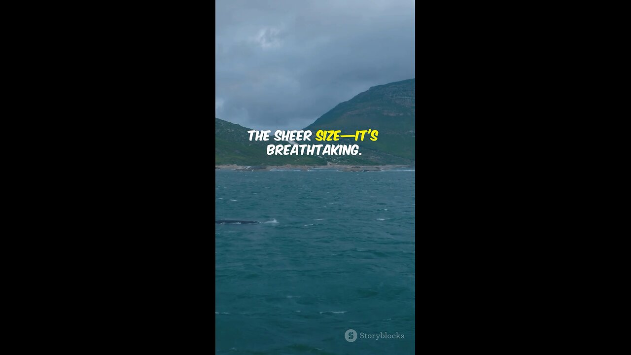 Whale Watching in Alaska: A Breathtaking Journey