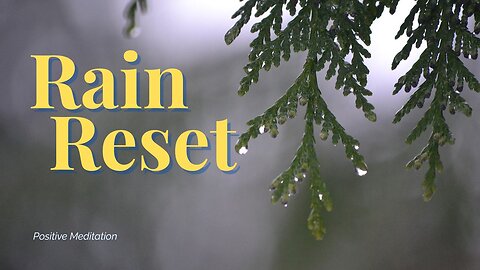 Rain Meditation | Energy Frequency Reset | Yoga, Peace, Zen