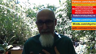Patio Garden Open Discussion -- Sunday, July 13, 2025 [ASMR]