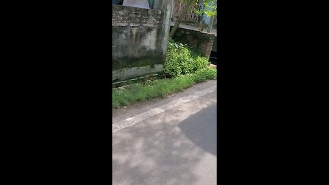Road of Rajshahi
