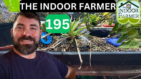 The Indoor Farmer ep 195, Aphids Outside, Ninja Mantis Inside & Lady Bugs Everywhere. Let's Grow