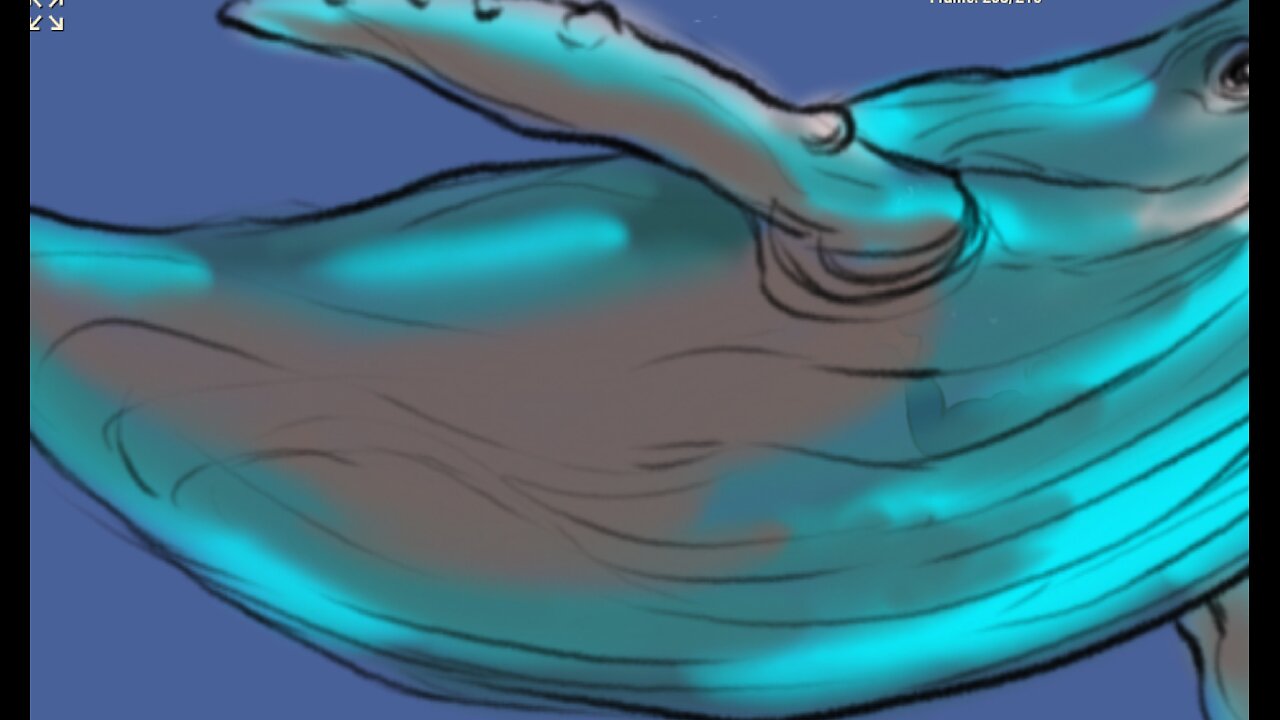 LET'S ANIMATE a work in progress