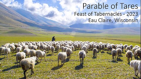 Parable of Tares