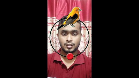 পাখিটি উড়িয়ে দেখান ৪০ #reels #puzzle #challenge #viral #tending #Amazing #foryou