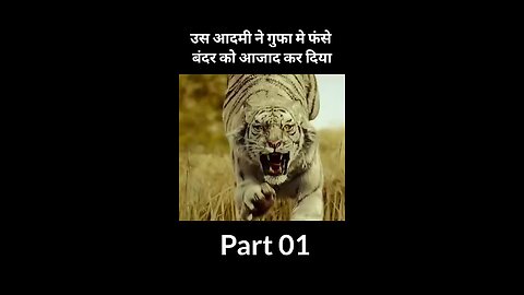 short movie recap