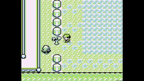 Pokémon Blue - Walkthrough/Videonávod 26 [EN/CZ]