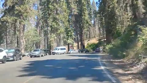 Shia, video recorded 12:15 PM August 10, '25 Part 2-2 by Alyssa Sequoia National Park