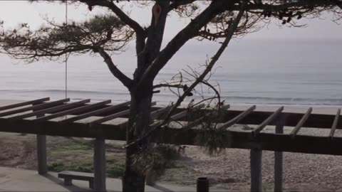 Para que no me olvides (2005) - Película completa - Patricia Ferreira