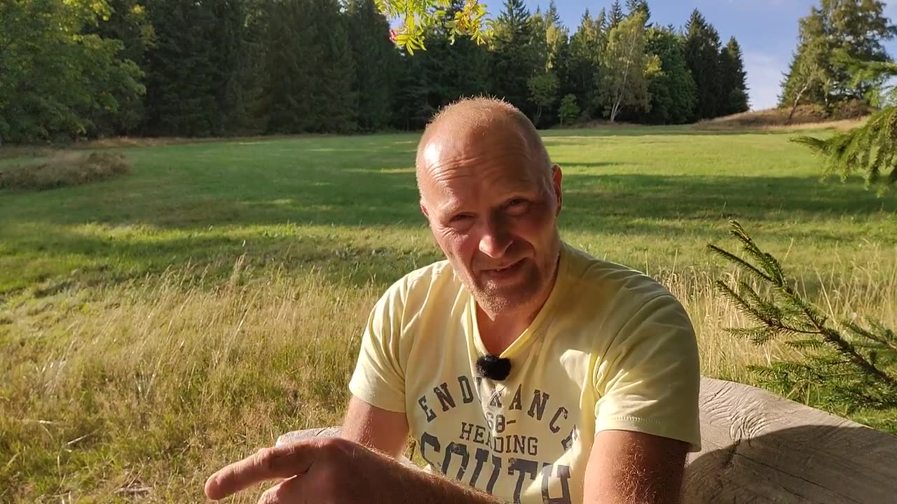 Heilsgewissheit: ihr Wesen