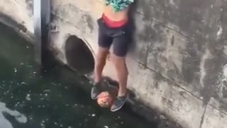 😂💡 You Won't Believe This Clever Ball Rescue! | FunFM