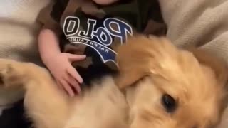 Just a baby loving on his puppy