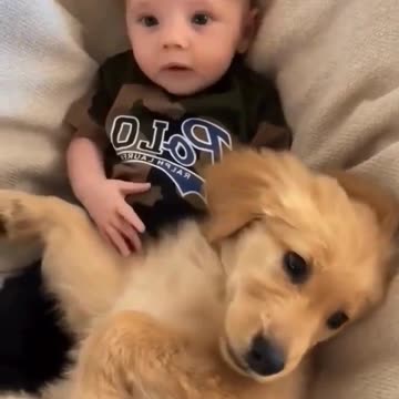 Just a baby loving on his puppy