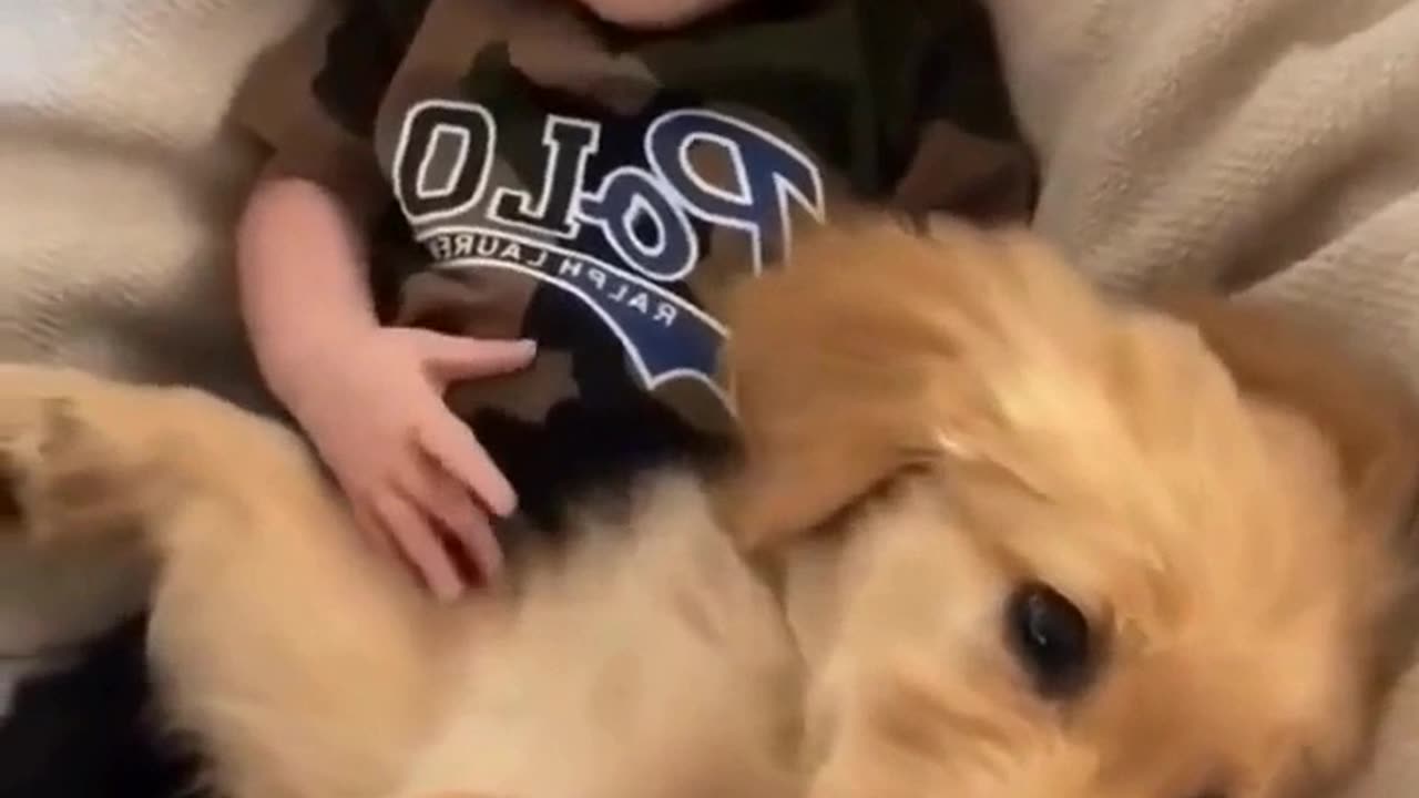 Just a baby loving on his puppy