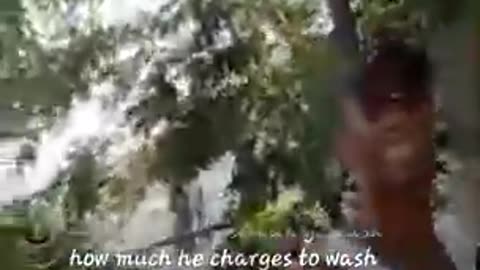 pig dreamer fight neighbors She is racist