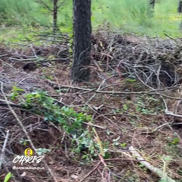 WHEN THEY ASK YOU FOR A LITTLE HELP AROUND THE YARD!