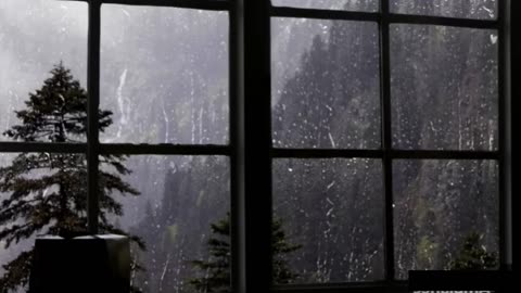 Heavy Rainfall & Thunderstorm White Noise - Sleep, Yoga & Meditation Aid