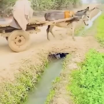 #shorts #funnyvideo #funny #😀😀