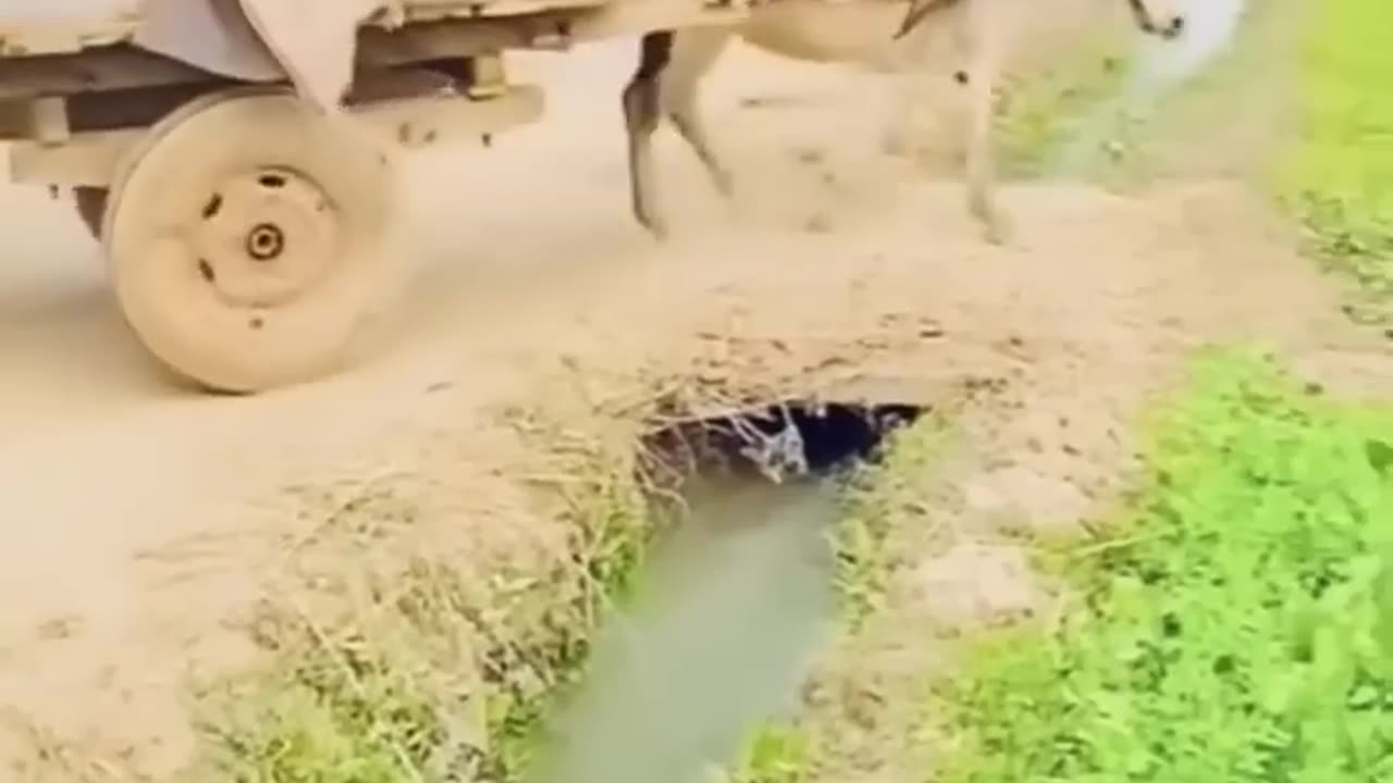 #shorts #funnyvideo #funny #😀😀