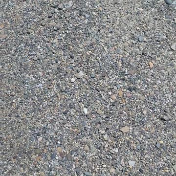 A beautiful flower(1)