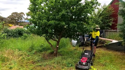 Years of Neglect GONE! | FREE Yard Transformation So Extreme