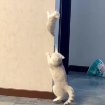 Kids.. 🤦‍♂️😂