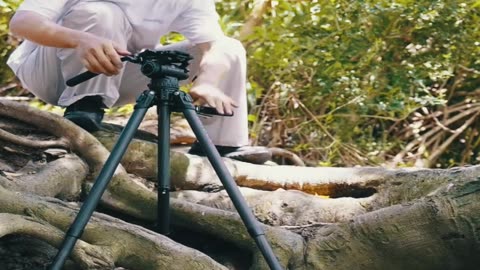 Comparing Tripods: Is the TRIBEX Quick-Release Worth the Hype?
