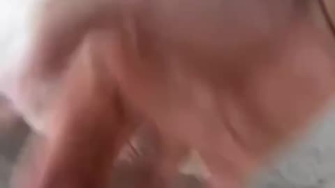Cute video