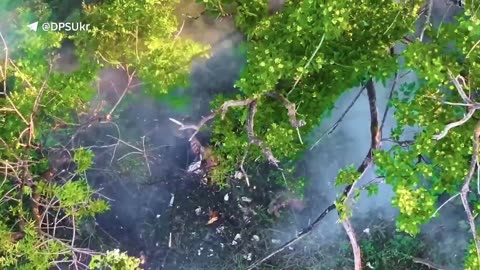 ⚡️ Border guards-operators of drones RUBPAK "Phoenix" gave the invaders a bright but short day.