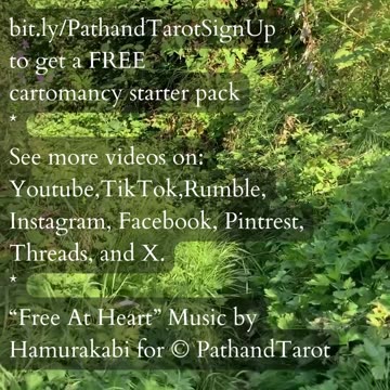 Shared Fulfillment | Path and Tarot Reading