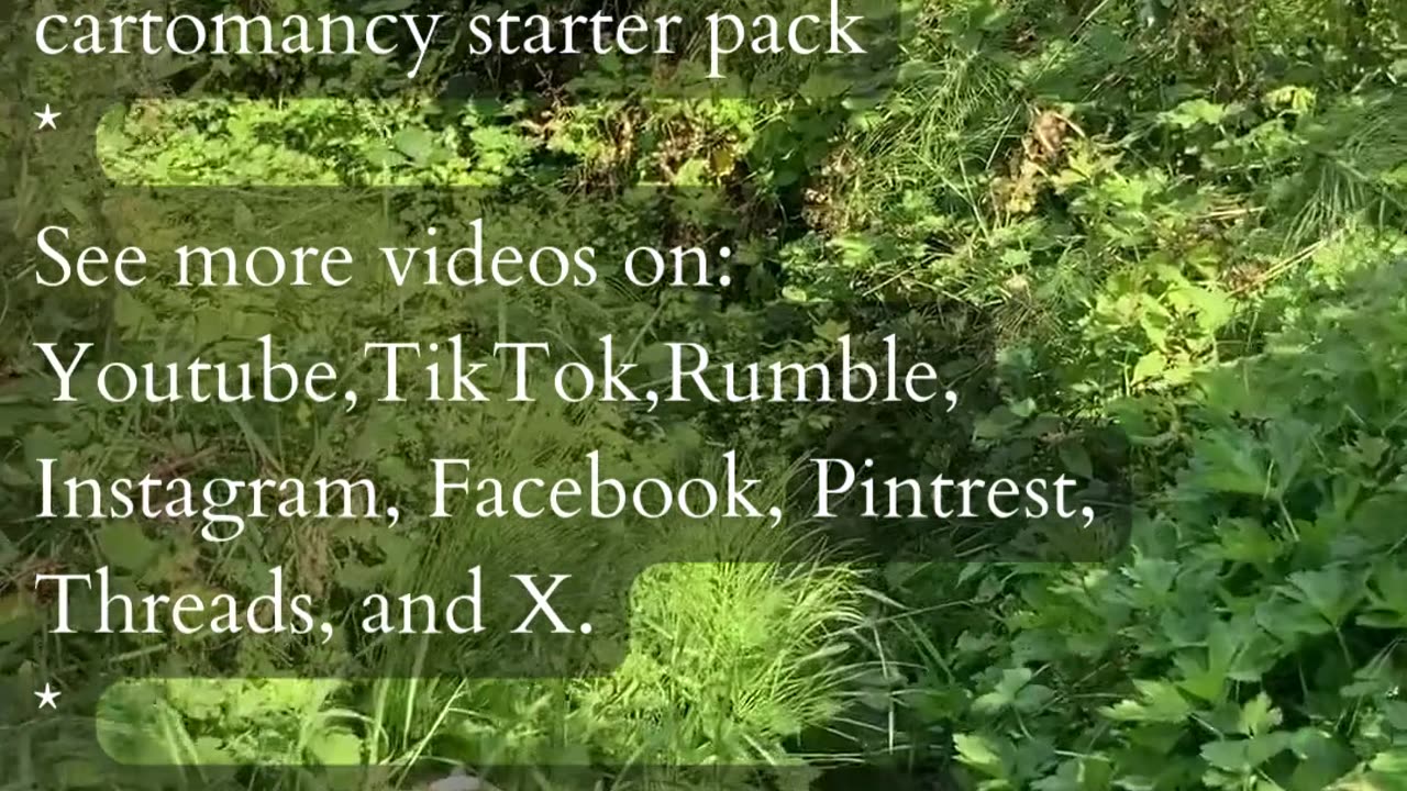 Shared Fulfillment | Path and Tarot Reading