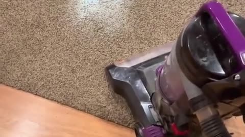 😂🌧️ This Yummy Raincloud Will Blow Your Mind! | FunFM