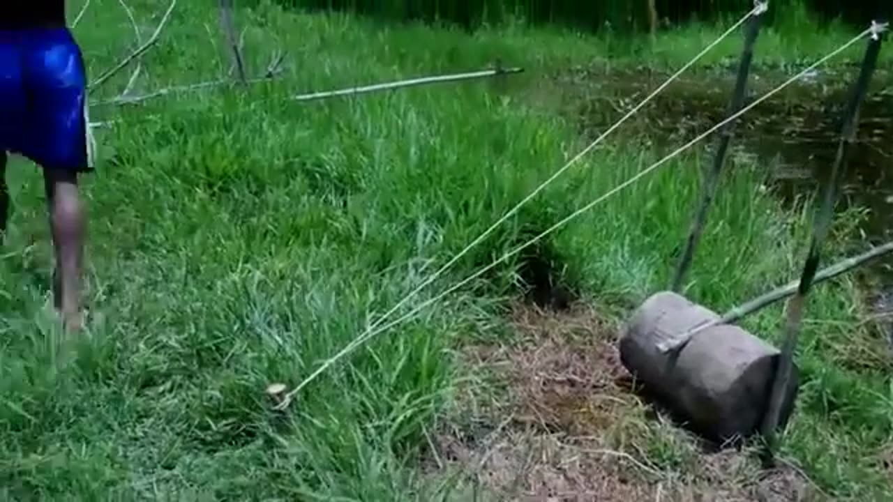 Fishing Primitive Technology