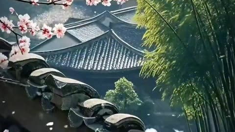 生命禅院