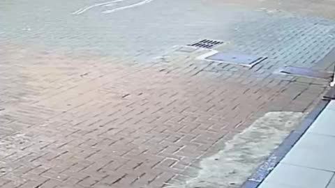 Horse Skids Across City Center