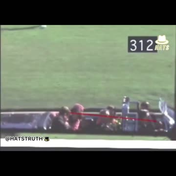 You've never seen it this clearly