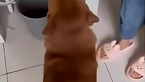 😂 Bro Got Tricked and It's Hilarious! | FunFM